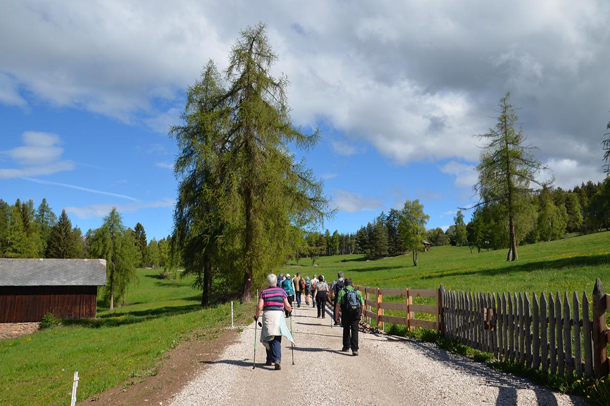 Steinmannhof 15.05.2017